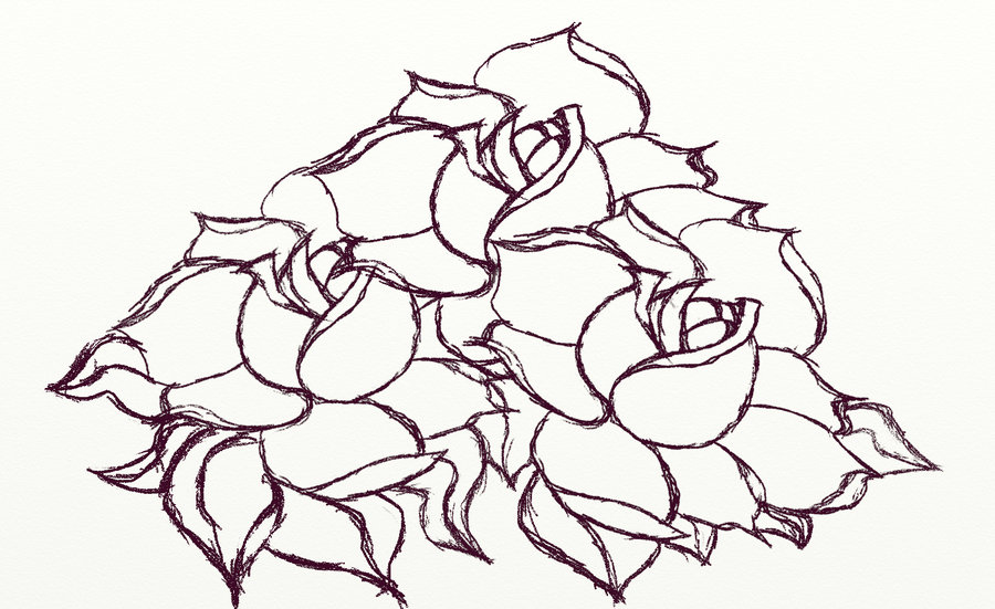 900x551 Rose Bouquet Sketch By Kraheera - Rose Bouquet Sketch