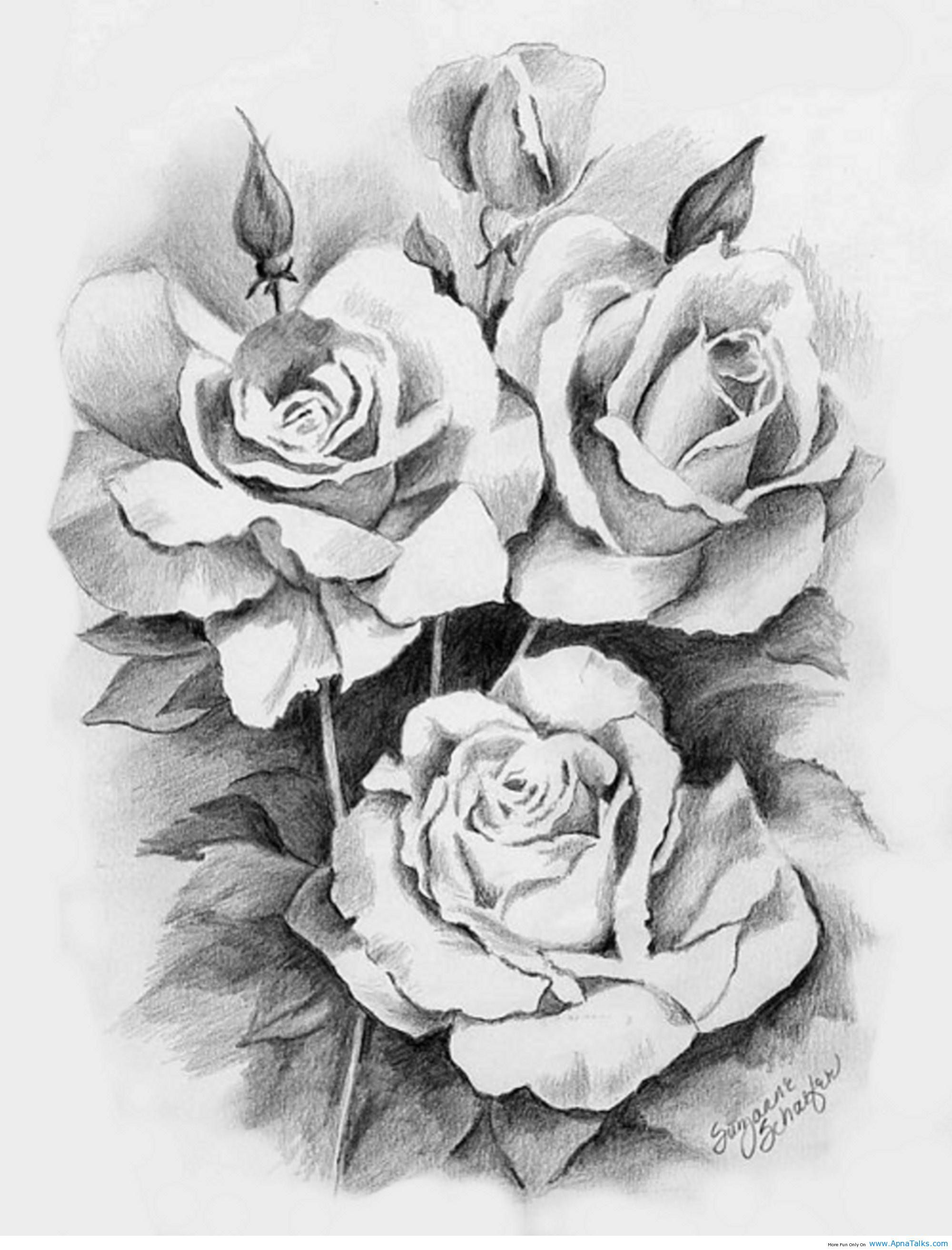 Rose Bouquet Sketch at Explore collection of Rose