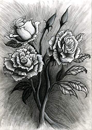 356x500 Illustration, Sketch. A Beautiful Print Of A Rose - Rose Bouquet Sketch