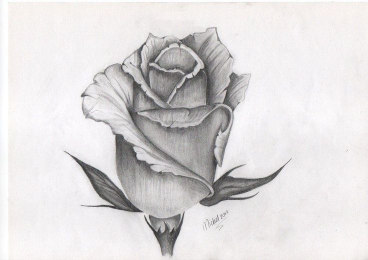 736x520 Rosebud Sketch Tattoo Inspiration Tattoo, Tattos - Rose Bud Sketch