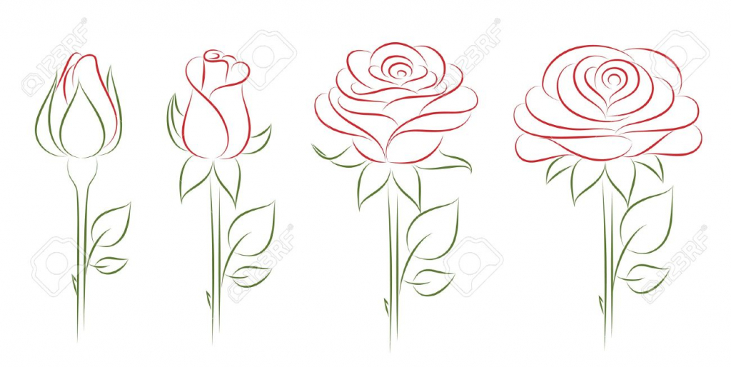 Featured image of post Drawing Of A Rose Bud / Black and white roses flowers.