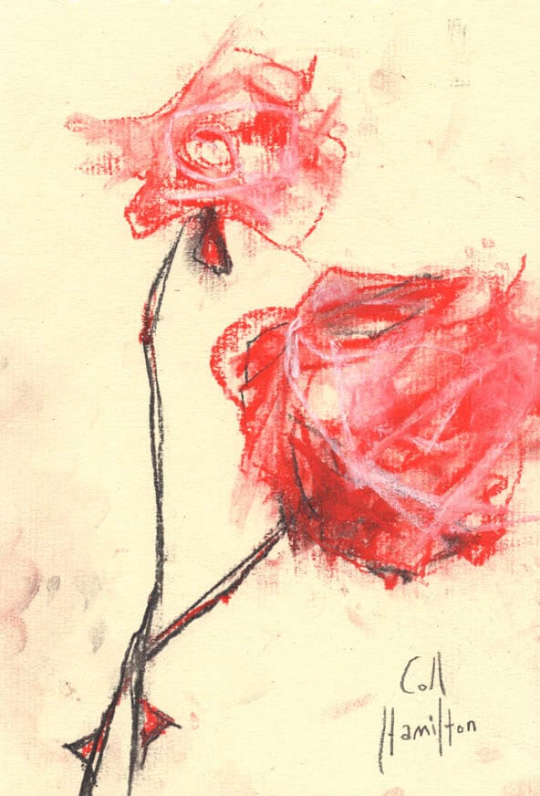 592x872 Rose Bush Sketch 4 - Rose Bush Sketch