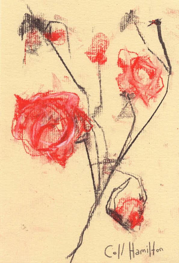 595x871 Rose Bush Sketch 6 - Rose Bush Sketch