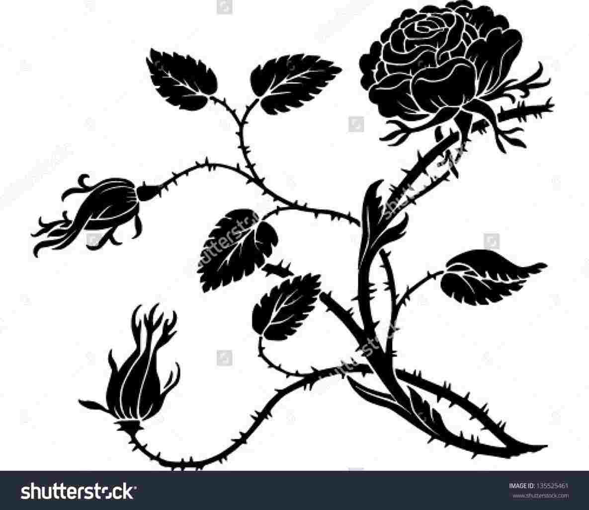 1185x1027 Rose Bush Drawing Easy Spladdle - Rose Bush Sketch