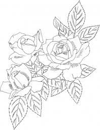 197x256 Simple Rose Bush Drawing - Rose Bush Sketch