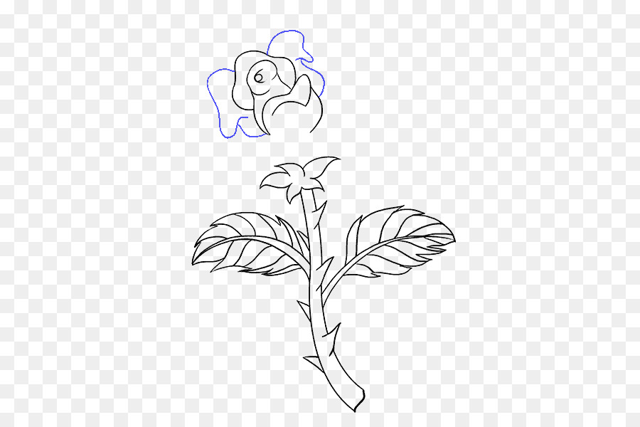 900x600 Drawing Plant Stem Rose Flower Sketch - Rose Flower Sketch