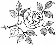 236x189 252 Best Drawing Roses Images Rose Drawings - Rose Flower Sketch