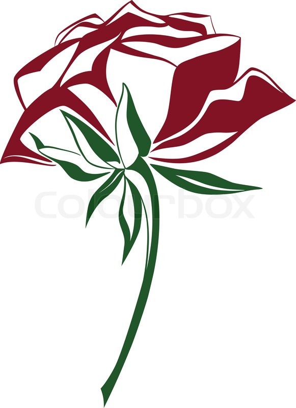 581x800 Rose Flower Sketch, Vector Illustration Stock Vector Colourbox - Rose Flower Sketch