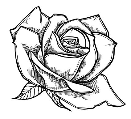 425x385 Black And White Rose Flower Sketch Vinyl Decal Sticker - Rose Flower Sketch