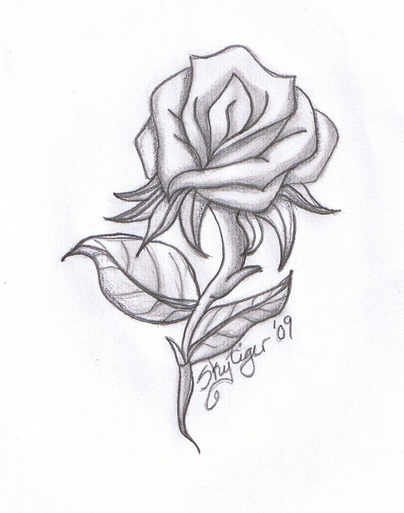 794x1007 Drawn Rose Pencil For Kid - Rose Flower Sketch Images