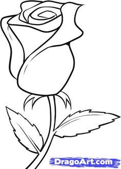 236x330 Drawn Sketch Rose Flower - Rose Flower Sketch Images
