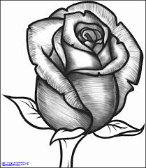 209x241 Rose Flower Unique Drawing Pictures - Rose Flower Sketch Images