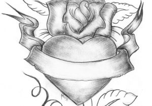 300x210 Heart And Rose Sketches Love Heart Rose Colour Pencil Sketch - Rose Heart Sketch