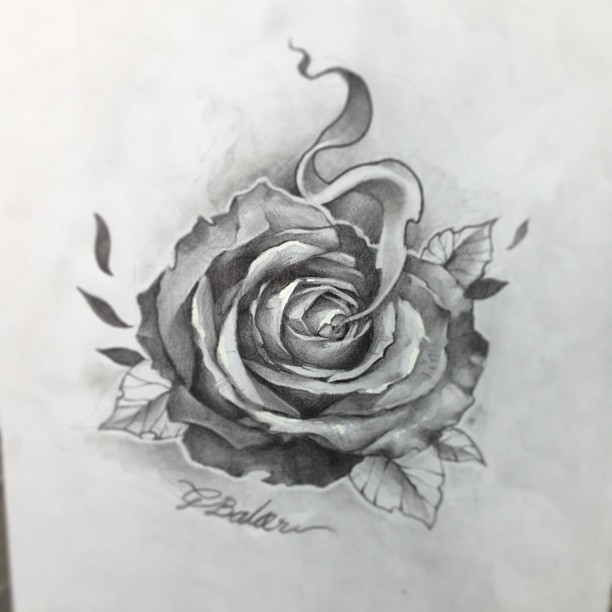612x612 Rose Sketch By George Baker - Rose In Sketch