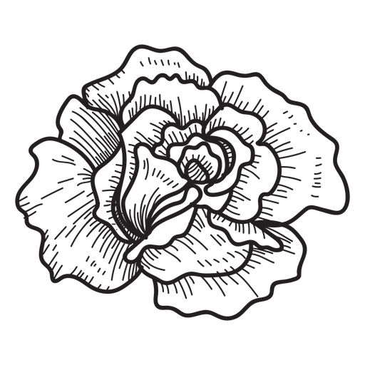 512x512 Rose Head Sketch Icon - Rose In Sketch