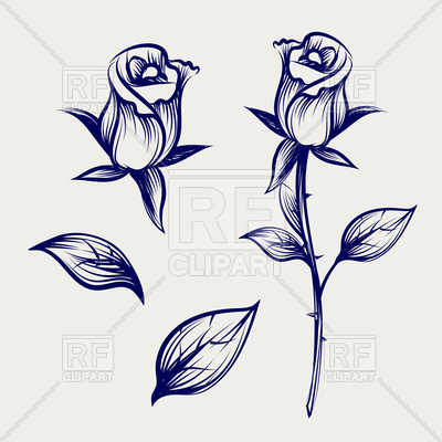 400x400 Rose Sketch - Rose In Sketch