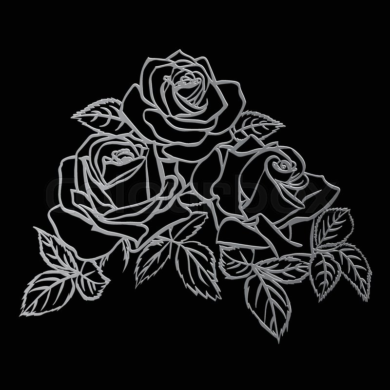 800x800 Rose Sketch. Silver Outline On Black Background. Vector - Rose In Sketch