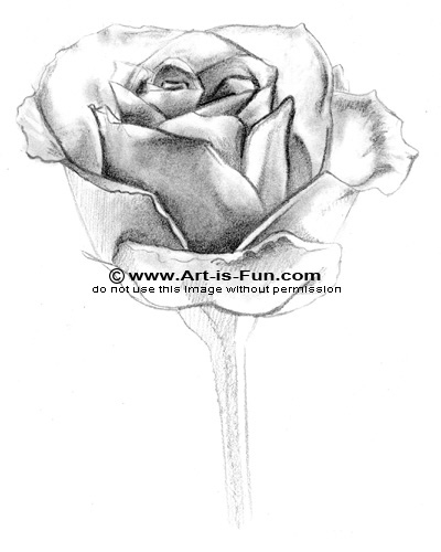 400x500 How To Draw A Rose Learn To Draw Rose Pencil Drawings Art Is Fun - Rose Pencil Sketch