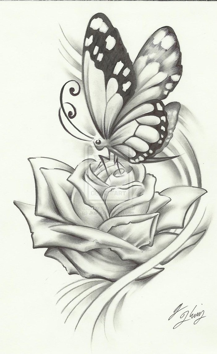 701x1140 Pencil Drawings Of Flowers - Rose Pencil Sketch