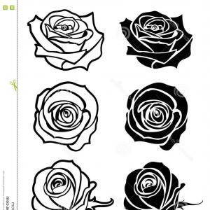 300x300 Sketch Line Drawing Of Rose Vector Arenawp - Rose Petal Sketch