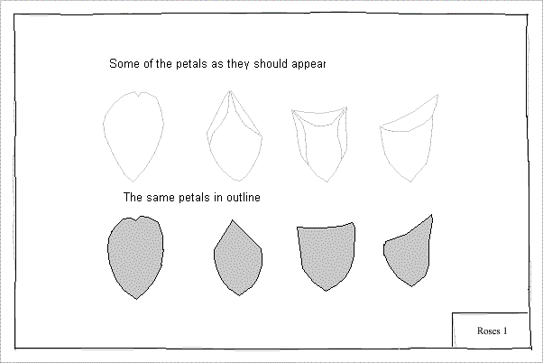 602x402 Part Two - Rose Petal Sketch