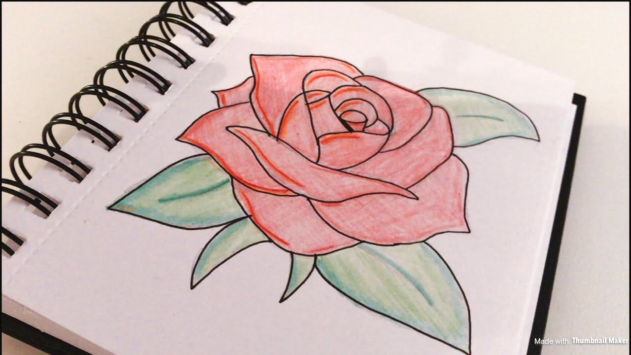 1280x720 Rose Sketch! Easy - Rose Pictures Sketch