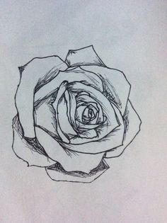 236x315 Rose Sketch I Like Tattoos, Drawings And Rose Tattoos - Rose Pictures Sketch