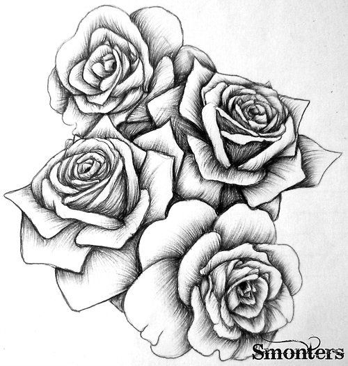 500x526 Rose Sketch By Modularsundays Black And White Rose Sketch How To - Rose Pictures Sketch