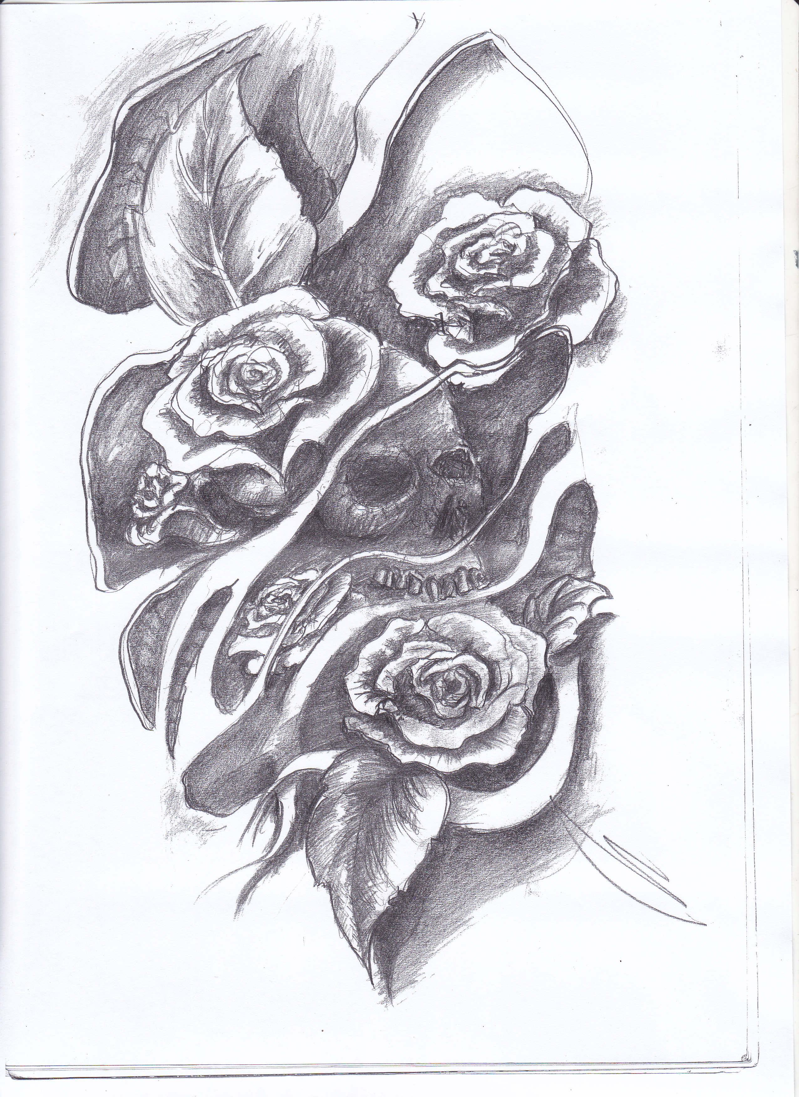 2552x3504 Free Images Power, Bloom, Flower, Black And White, Sketch, Art - Rose Plant Sketch