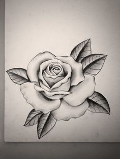 236x314 Angel Drawing Of Pencil Sketches Rose Tattoo Designs Pencil - Rose Sketch Design