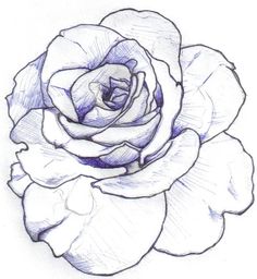236x256 The 39 Best Rose Drawing Stencil Tattoo Designs Images On - Rose Sketch Design