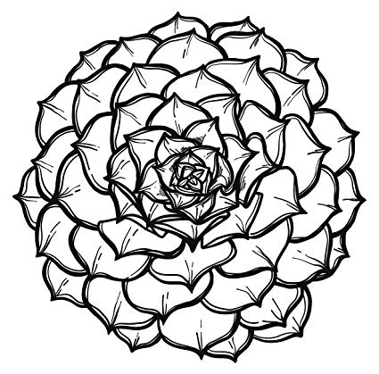 425x419 Black And White Peony Rose Flower Sketch Vinyl Decal - Rose Sketch Design
