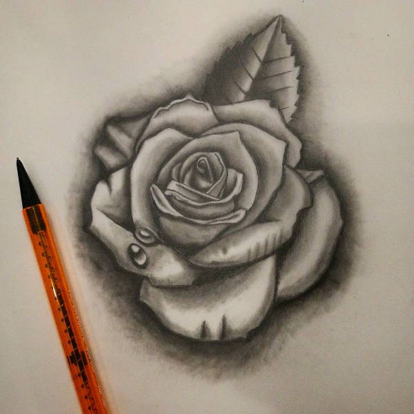 Rose Sketch Easy at PaintingValley.com | Explore collection of Rose ...