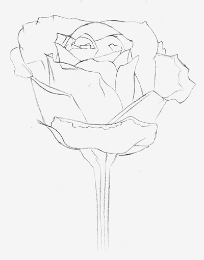 400x511 How To Draw A Rose Learn To Draw Rose Pencil Drawings Art Is Fun - Rose Sketch Drawing