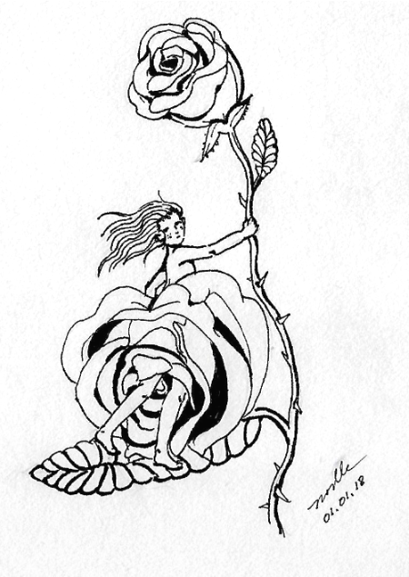 450x635 Sketch Drawing Contest - Rose Sketch Drawing