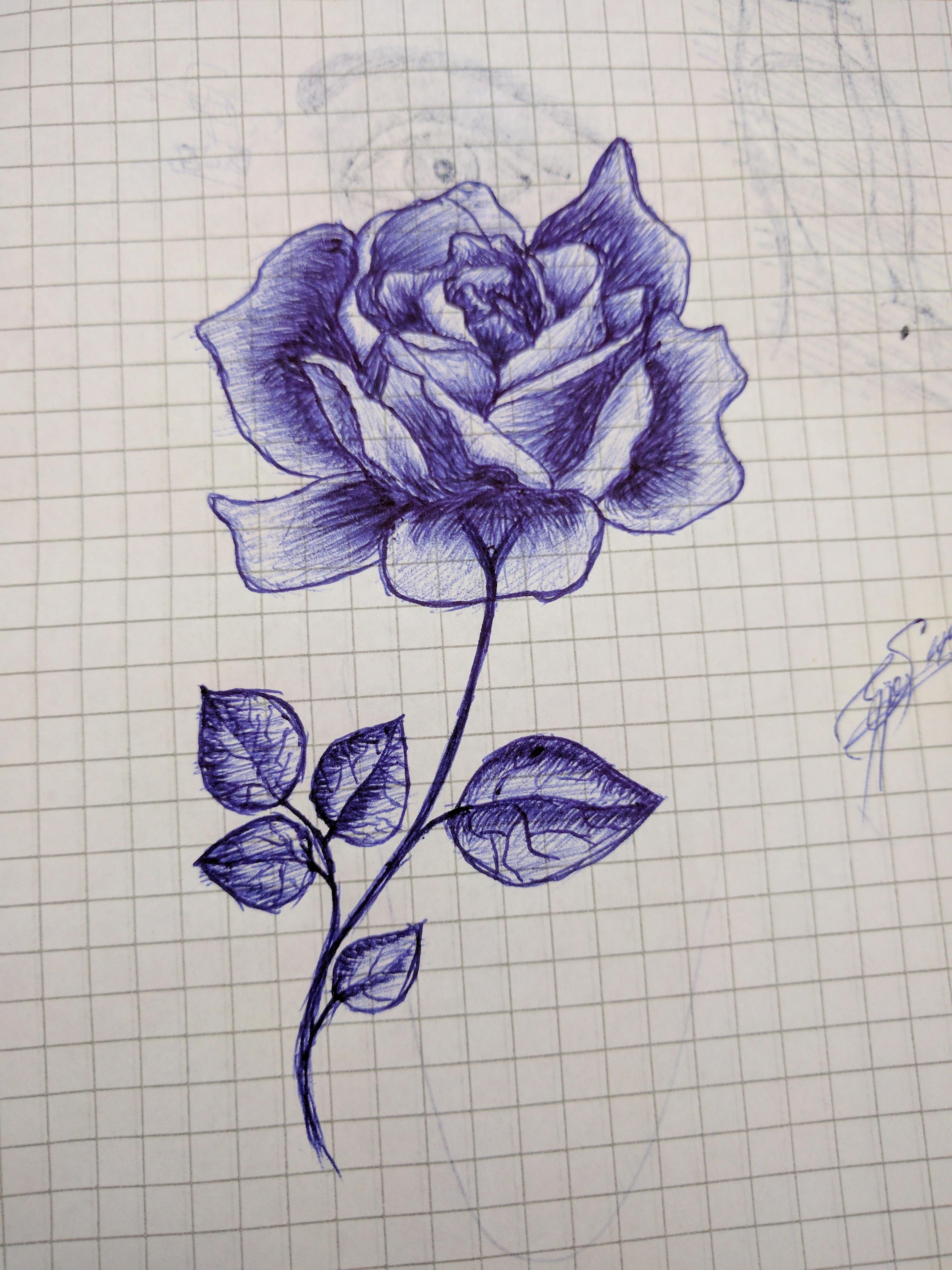 Как нарисовать красивую ручку. Цветы ручкой в тетради. Цветы ручкой простые. Красивые рисунки ручкой. Рисунки ручкой легкие и красивые.