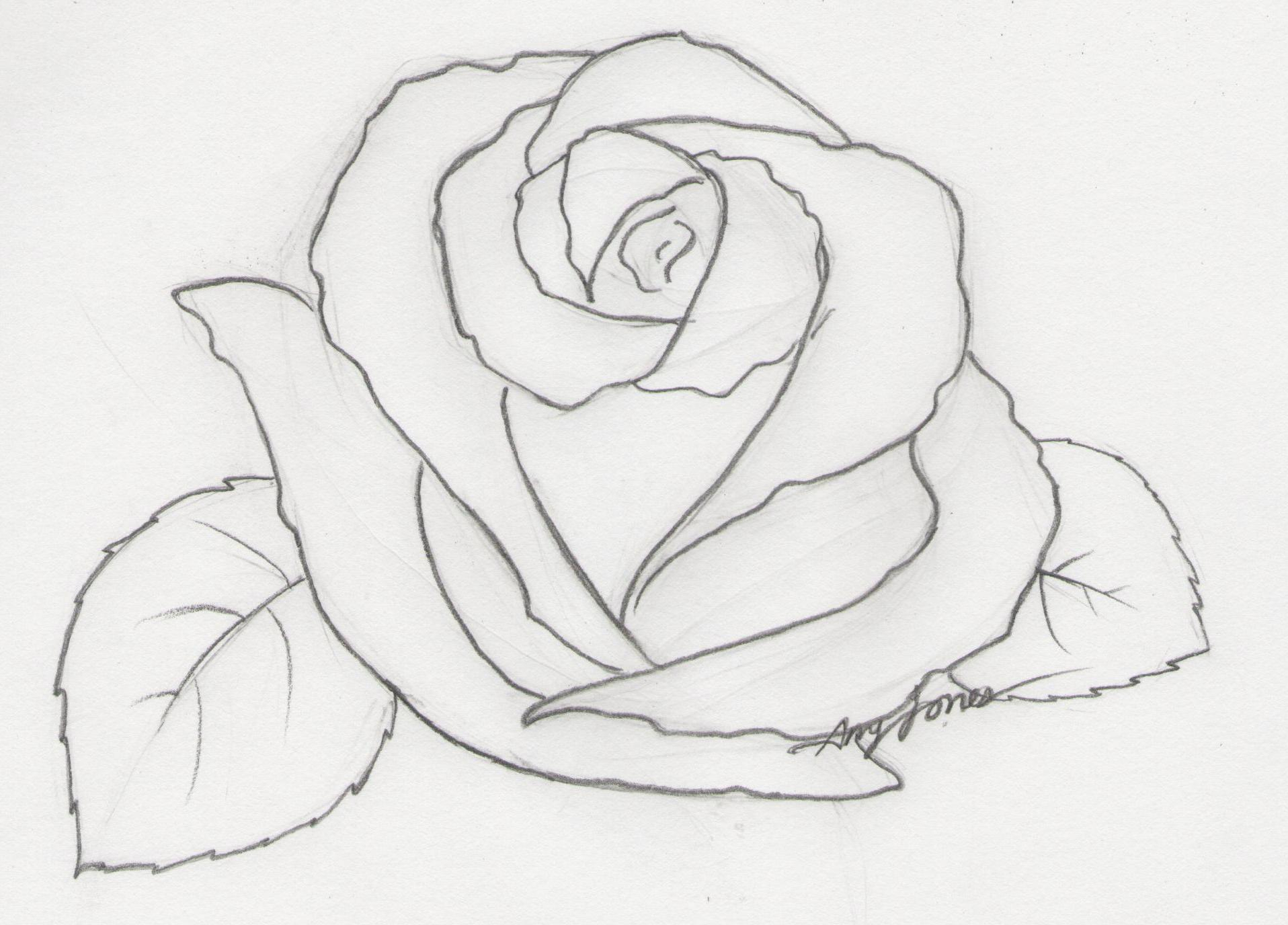 Pencil Sketch Rose Flower Drawing Easy Denue Voconesto