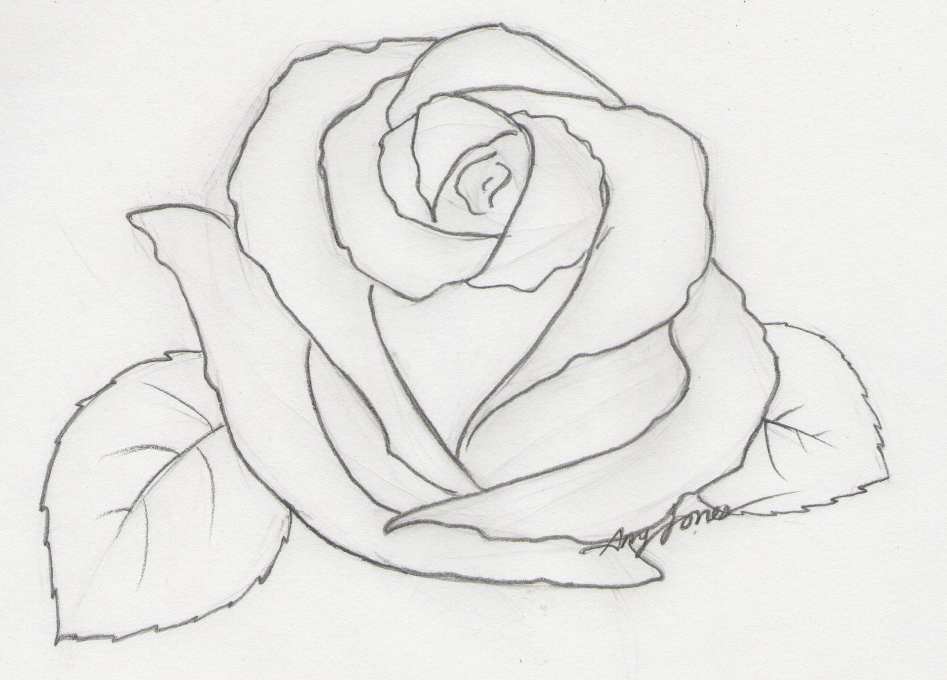 Rose Sketch Easy at Explore collection of Rose