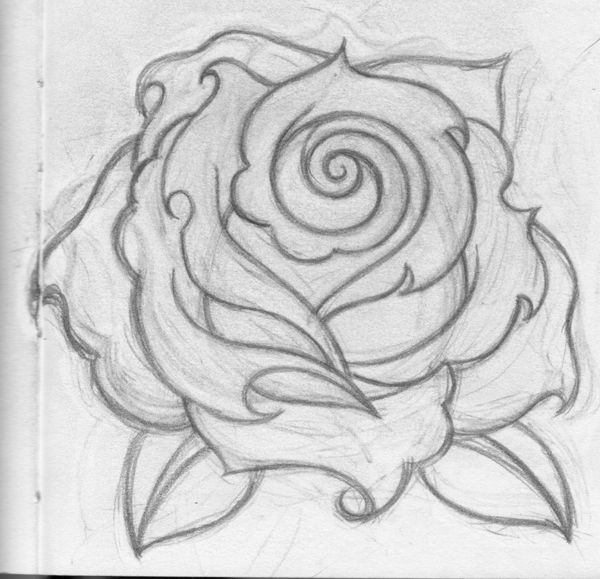 Rose Sketch Easy at PaintingValley.com | Explore ...