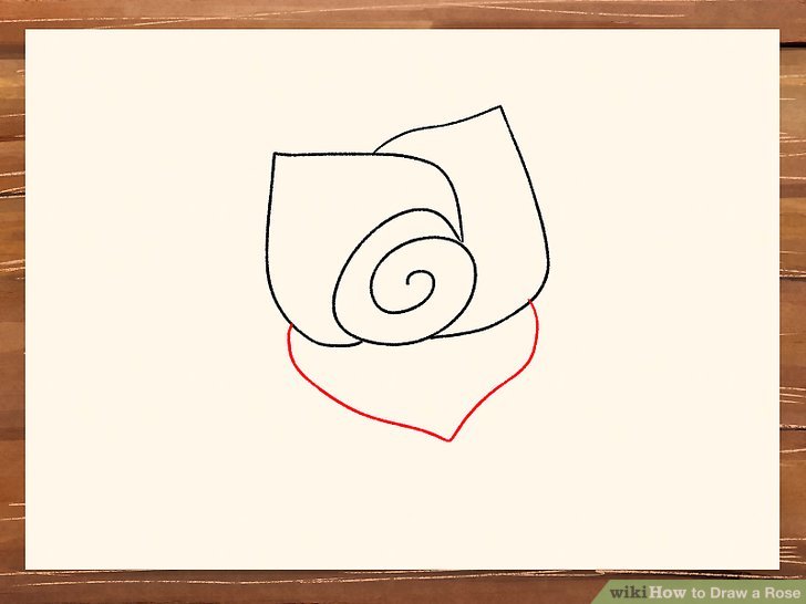 Rose Sketch Easy Step By Step