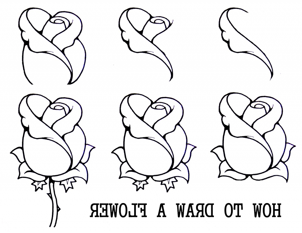 1024x788 Photos Easy Rose Drawing Step By Step, - Rose Sketch Easy Step By Step