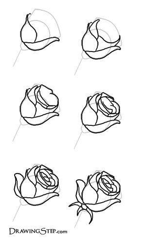 Rose Sketch Easy Step By Step at PaintingValley.com | Explore ...