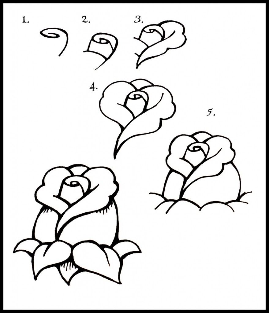 879x1024 How To Draw Roses Step By Step - Rose Sketch Easy Step By Step
