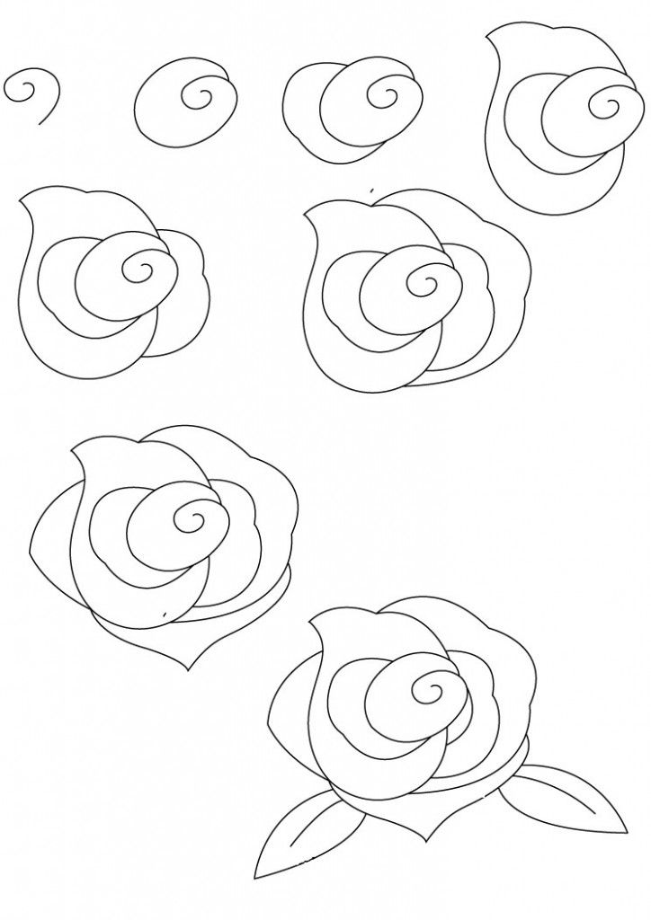 724x1024 How To Draw A Rose Interesting Pics - Rose Sketch Easy Step By Step