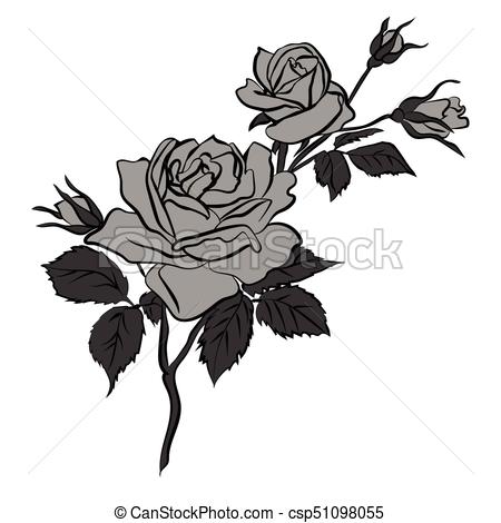 450x470 Rose Sketch On White Background. Rose Sketch. Black Outline On - Rose Sketch Images
