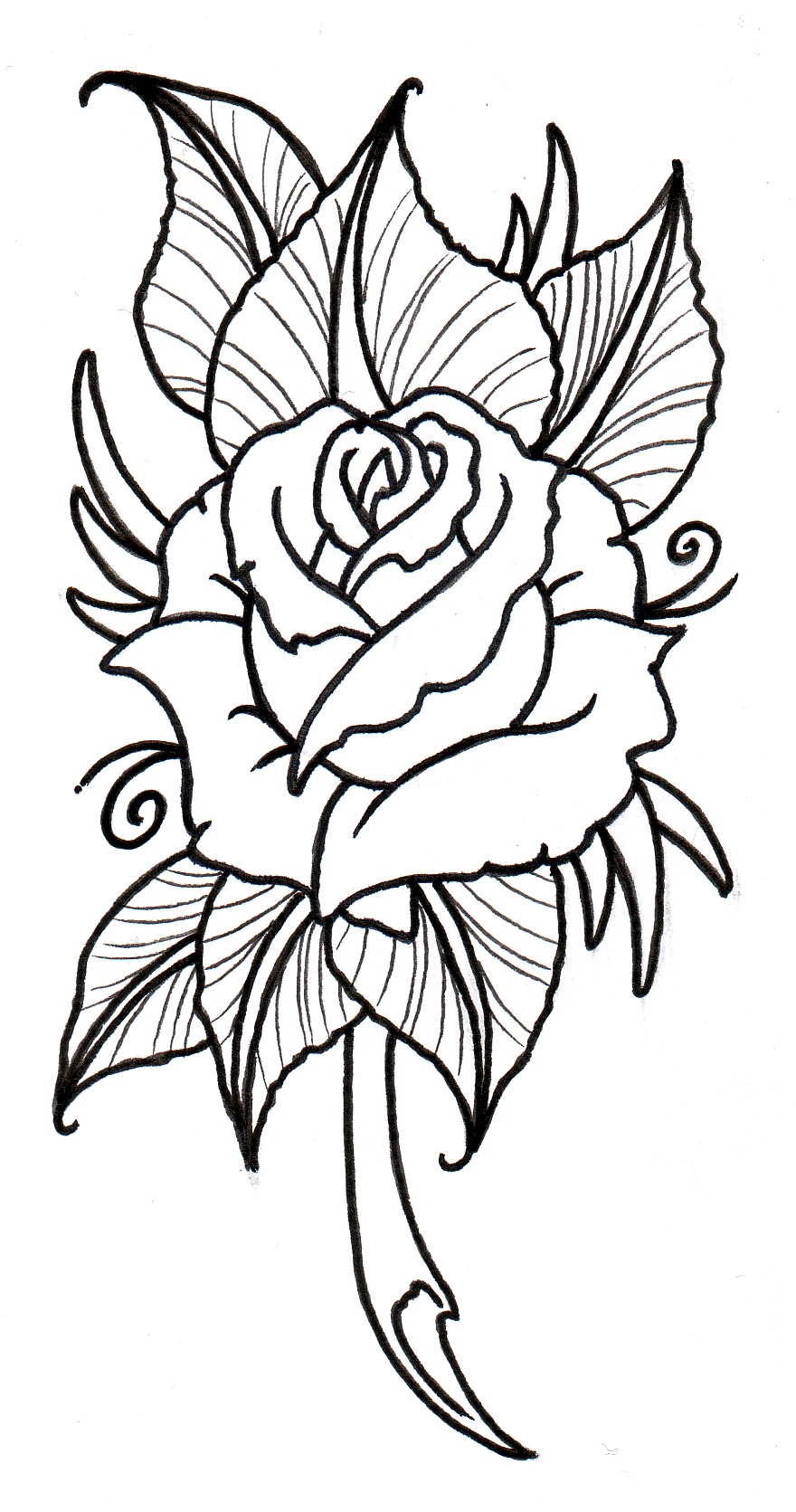 880x1671 Rose Clipart Sketch - Rose Sketch Outline