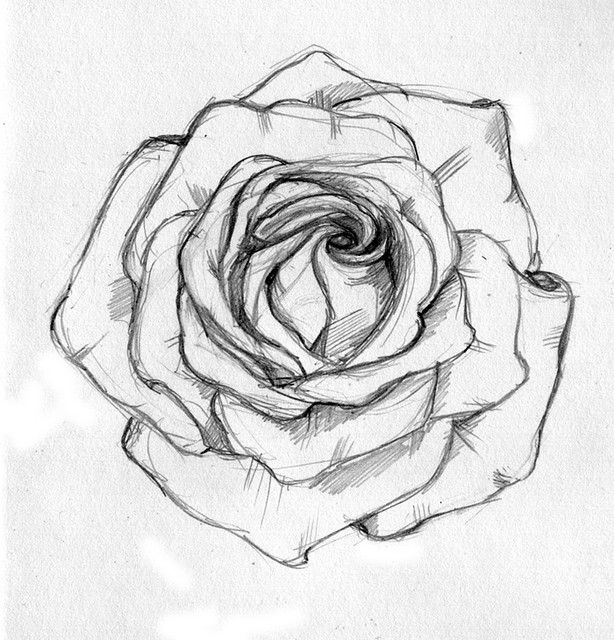 614x640 Rose Sketch I Like Drawings, Tattoos And Rose Sketch - Rose Sketch Outline