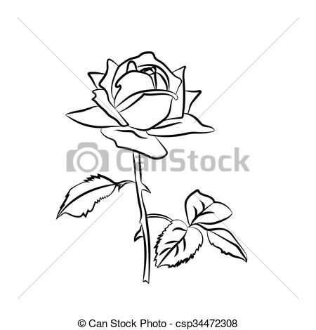 450x470 Rose Sketch On White Background. Rose Sketch. Black Outline - Rose Sketch Outline