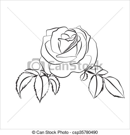 450x470 Rose Sketch On White Background. Rose Sketch. Black Outline On - Rose Sketch Outline