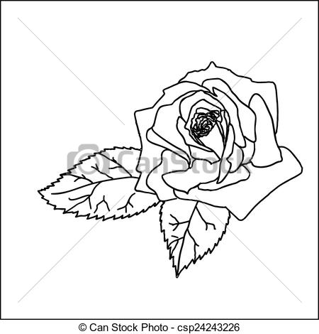 450x470 Rose Sketch. Black Outline On White Background. Vector Illustration. - Rose Sketch Outline